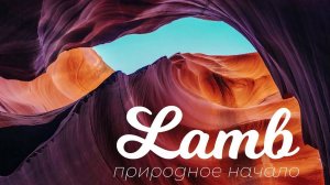 Lamb