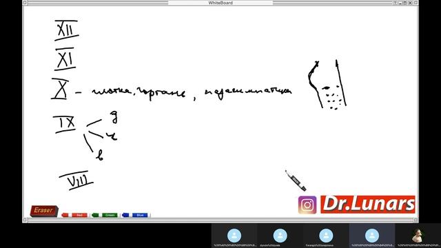 НОРМАЛЬНАЯ ФИЗИОЛОГИЯ.ЦНССТВОЛ МОЗГА
