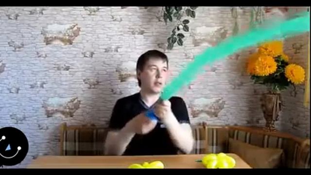 Цветы и букеты из воздушных шаров смотреть онлайн