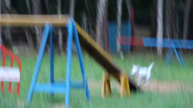 Аджи Астра (тренировка 14.08.2014) смотреть онлайн