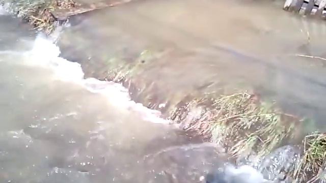 паводок на ул Заречная г Кемерово смотреть онлайн