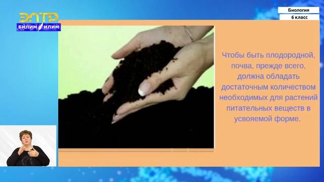 6-класс | Биология | Плодородие почвы. Способы выращивания овощных культур