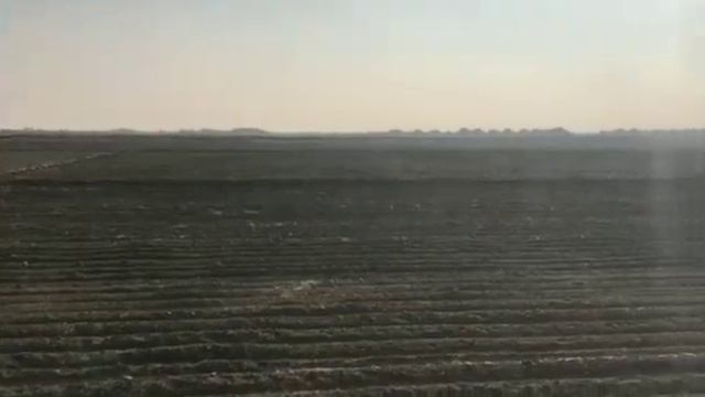 Разница между спланированным полем и не спланированным смотреть онлайн