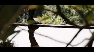 FUJIFILM X-H2S Cinematic Footage 4K DCI - Sensor size still doesn't matter!