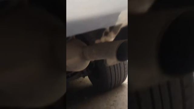 Кошка механик по имени Анфиса смотреть онлайн