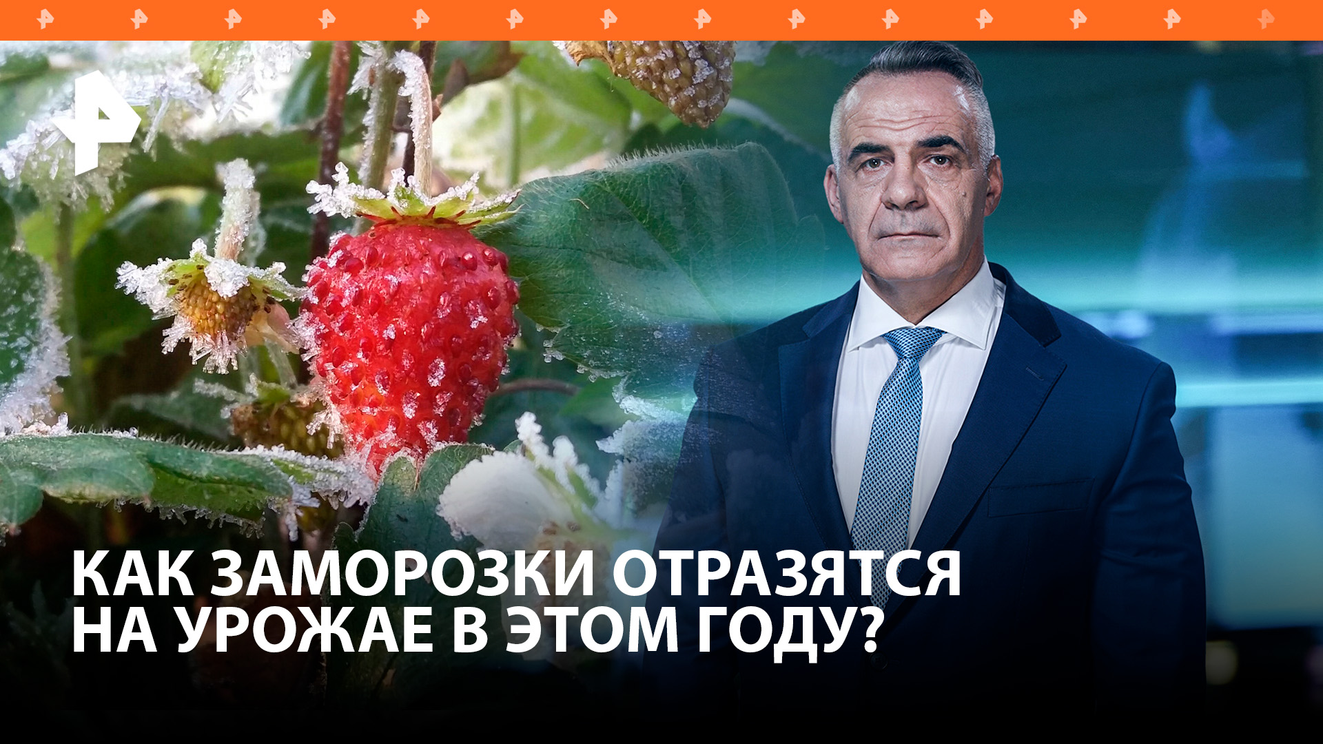 Урожай "сгорел": как продавцы спекулируют на ценах на ягоды / ИТОГИ НЕДЕЛИ с Петром Марченко