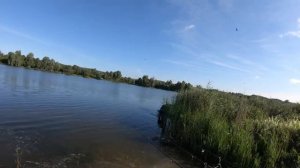 Карповая рыбалка. Ловля карпа на горох!