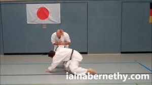 Practical Kata Bunkai: Chinte Hops