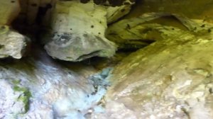 Берега реки Ящера.Ленинградская область, Лужский район,посёлок Толмачёво 7 июня 2015 года.