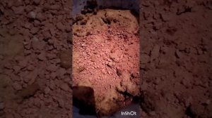 Доброе голуби. Минеральная подкормка для голубей, изготовлена в домашних условиях.