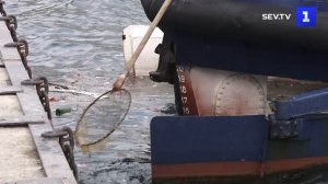 Дважды в неделю Артбухту в Севастополе очищает мусоросборщик