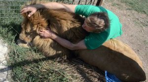 МАРСЕЛЬ  ВЫХОДИТ  В САВАННУ  !!! Красиво идет !!! Тайган .Крым