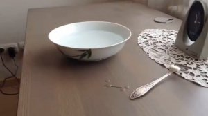 Интересные забавы #1 Иголка на воде