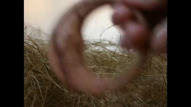 Погремушка-грызунок «Месяц ясный» смотреть онлайн