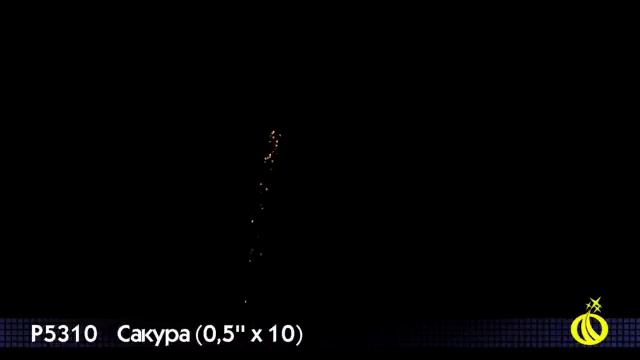 Р5310 Сакура смотреть онлайн