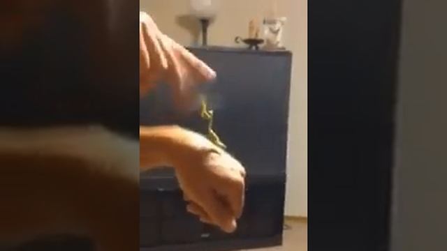 Бой:человек & богомол кто же победит? смотреть онлайн