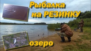 Рыбалка на РЕЗИНКУ Ловля леща