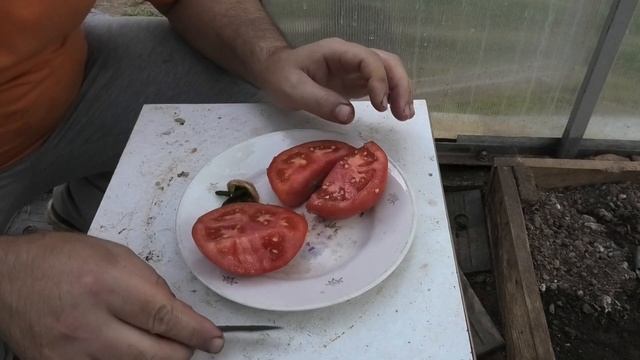 ? Томат ПРИМАДОННА F1| Мой неудачный эксперимент смотреть онлайн