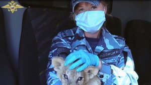 Министерство внутренних дел Российской Федерации - Полицейские оказывают помощь животным. 2022 г.