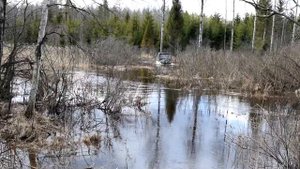 Вездеход болотоход Tiger XBH 8x8-2 поездка через болото .mp4