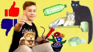 КОШКИ ПРОВЕРЯЮТ ЛАЙФХАКИ для КОШЕК из Тик Тока!!!