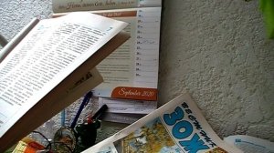 Витилиго. Пятна исчезли после лечения кунжутом и зверобоем!!!