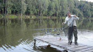 Ловля карпа, амура, толстолобика в июле на пруду Коряги в Белгородской области