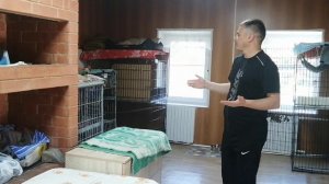 OZONBOX в приюте для животных