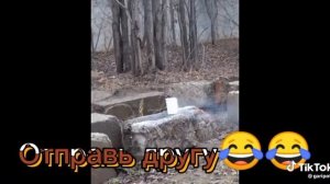 Когда сломался телик когда мобильник сдох компьютер еле-еле а чайник во все плохо