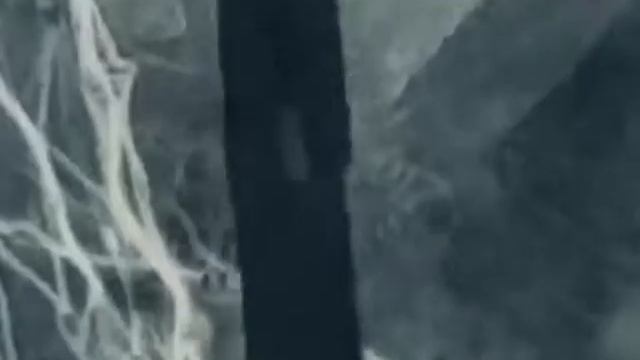 ОЖИВШИЙ НЕОНАЦИЗМ