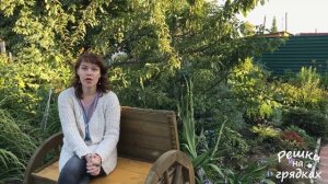 Как удобрять сливу осенью | Обеспечьте себя урожаем сливы на следующий год!