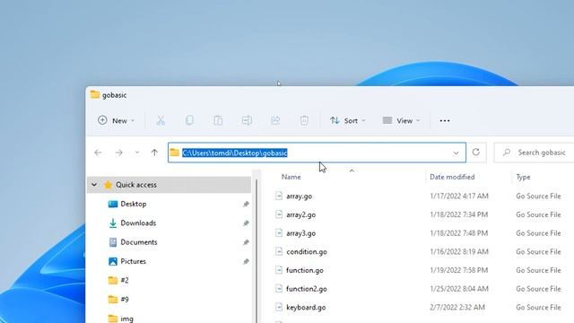 Golang Basic Build execute file[WEBDER.Nargor]#10 смотреть онлайн