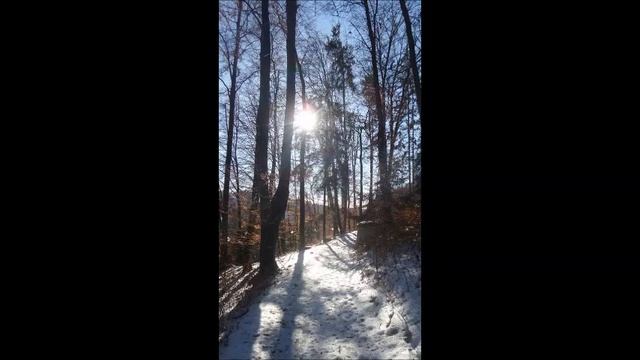 Christkind im Walde - von Ernst von Wildenbruch смотреть онлайн