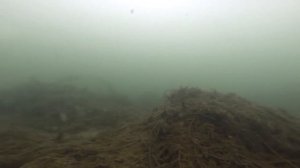 Что делает сазан зимой.Сьемка подольдом.