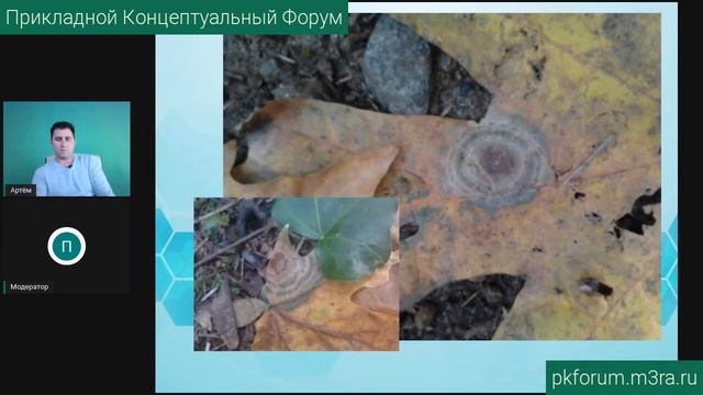 ПКФ #33. Артём Сверкунов. ГНМ. Новая медицина. Ствол мозга и мозжечок