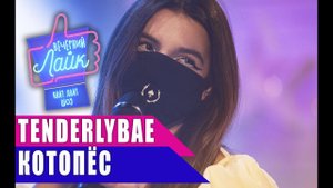Tenderlybae - Котопёс | Шоу ВЕЧЕРНИЙ ЛАЙК
