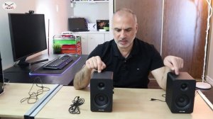 Sanyun SW208 Computer Speakers Complete review