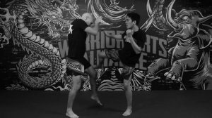 Panantukan Fighting Methods - How to Fight Filipino Panantukan style