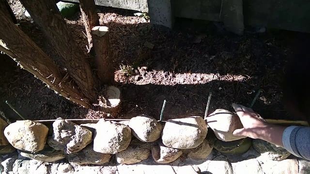 Наращивание бордюра из камня в царстве хвойных смотреть онлайн