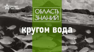 Как человек научился исследовать Мировой океан? Лекция океанолога Александра Осадчиева.