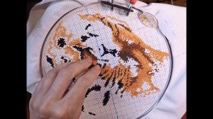 Как муж относится к моей вышивке. А также Тигр от Амишоп.