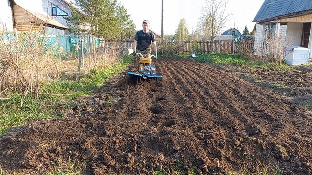 ПОСЛЕ ЭТОГО КАЛЫМА,КУПИЛ "ГУСИНЫЕ ЛАПКИ".МОТОБЛОК НЕВА МБ-2.Работа с фрезами. смотреть онлайн