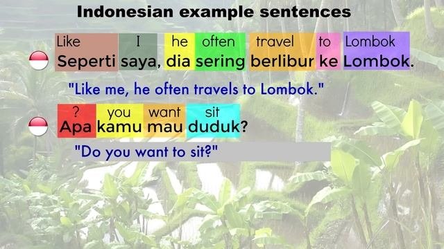 The Indonesian Language (Bahasa Indonesia)