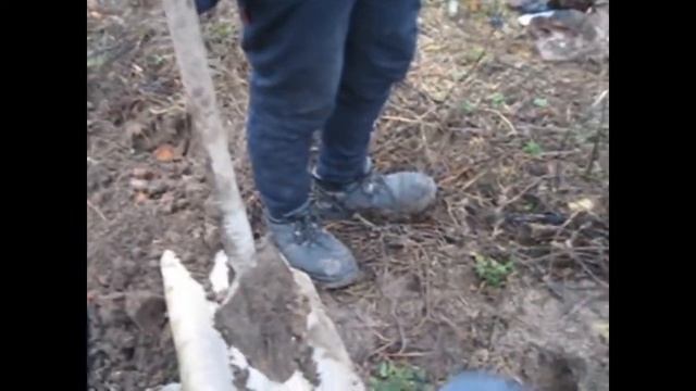 ПЕРВЫЙ МЕТАЛОКОП. ПРОВЕРКА md-4030 смотреть онлайн