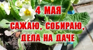 4 мая.  Влог.  Высаживаю новые цветы. Классная скамейка получилась!