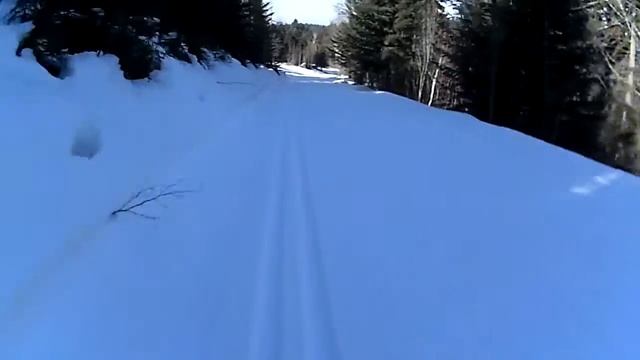 ROSSIGNOL X-IUM SKATING WCS S2 modèle 2014/2015 смотреть онлайн
