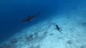 Chill Music X Fuvahmulah, Maldives Freediving