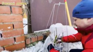 Укрытия для роз зимний домик. Как перезимовали розы?