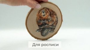 Спилы дерева для творчества