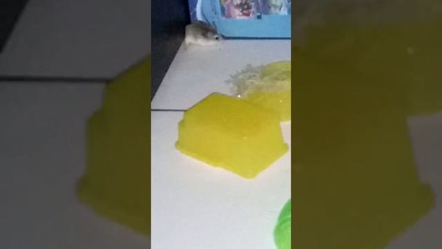 ЛАБИРИНТ ДЛЯ ХОМЯКА] ЧАСТЬ ВТОРАЯ